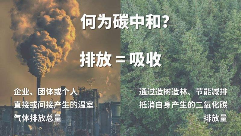 碳中和1.jpg